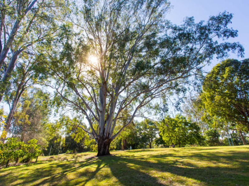 Weller Road Park image