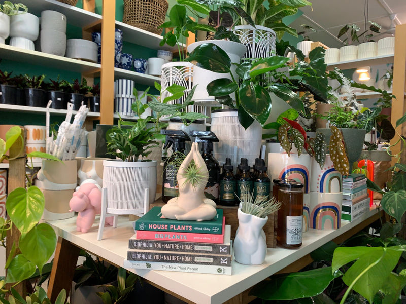 The Plant Lounge image