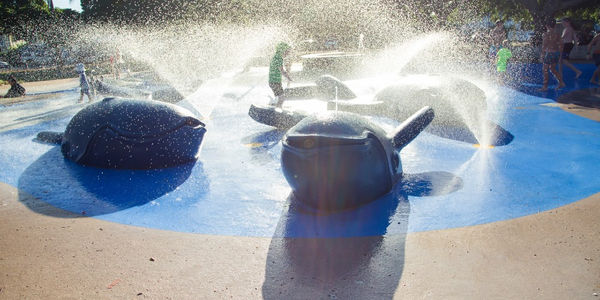 Wynnum Whale Park