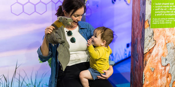 Karawatha Forest Discovery Centre