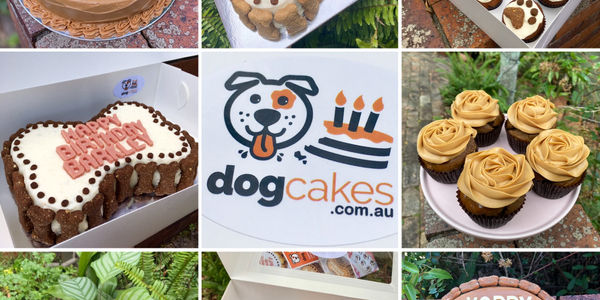 Dog Cakes