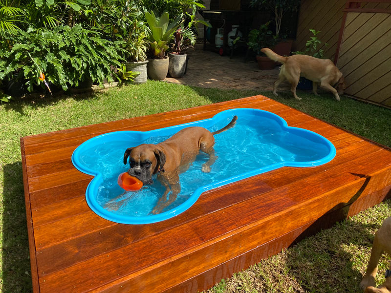 Dog Pools Australia image