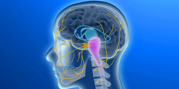 Brisbane Headache and Migraine Clinic