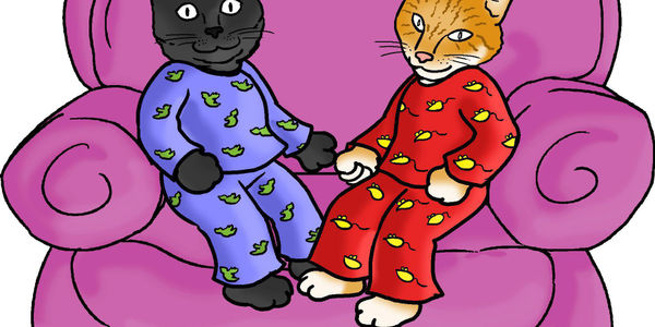 The Cats' Pyjamas Cat Grooming & Pet Sitting