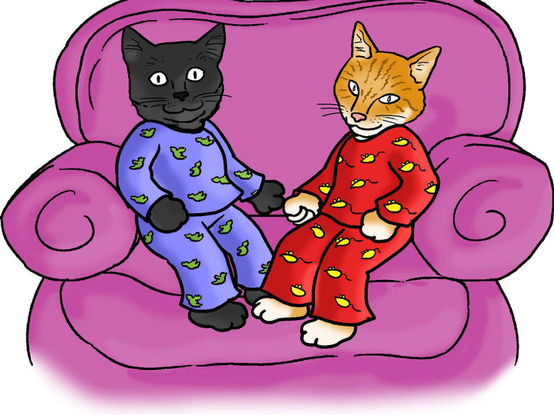 The Cats' Pyjamas Cat Grooming & Pet Sitting image