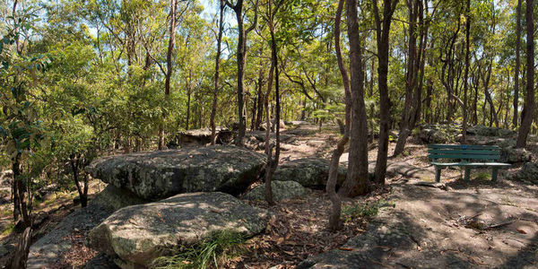 Toohey Forest Park