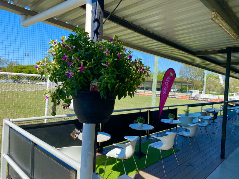 Transcendence Tiger Cafe image