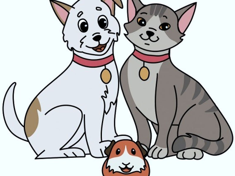 Hairy Poppins Pet Sitting image