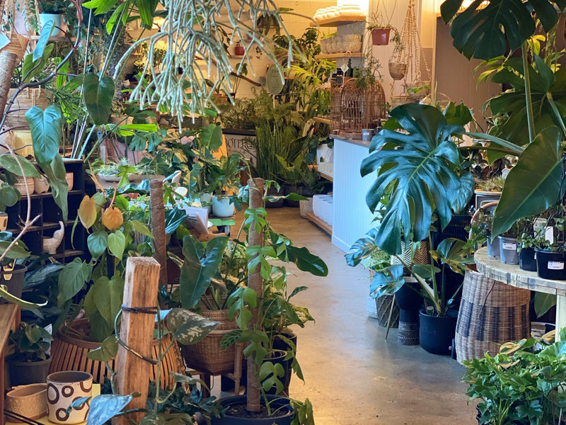 The Plant Bunker image