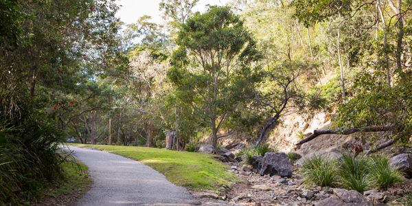 J.C. Slaughter Falls picnic area (Mt Coot-tha Reserve)