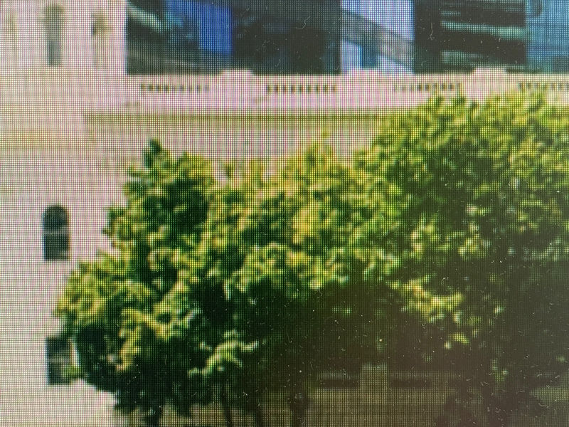 Market Street Medical Practice image