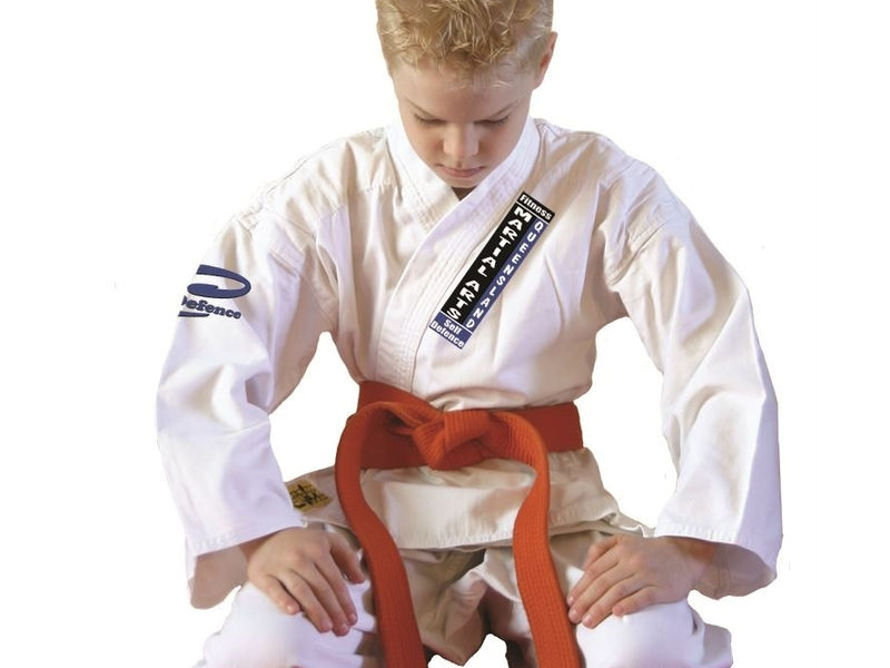 Martial Arts Queensland image