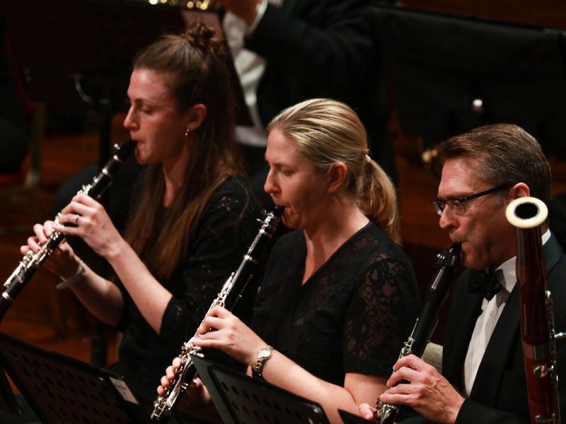 Brisbane Symphony Orchestra image