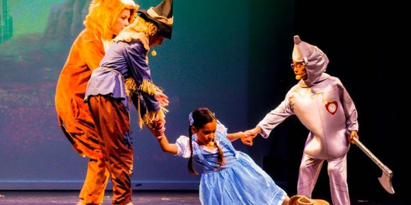 DanSing Australia Pty Ltd