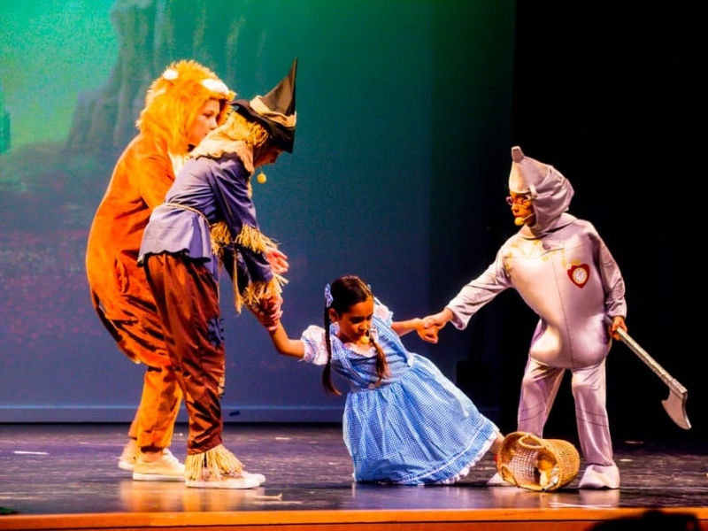 DanSing Australia Pty Ltd image