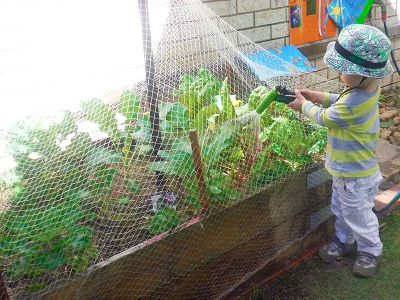 Kurilpa Community Childcare Centre image