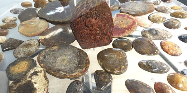 Mt Gravatt Lapidary Society
