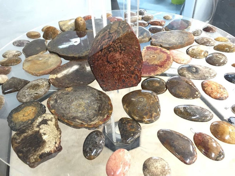 Mt Gravatt Lapidary Society image