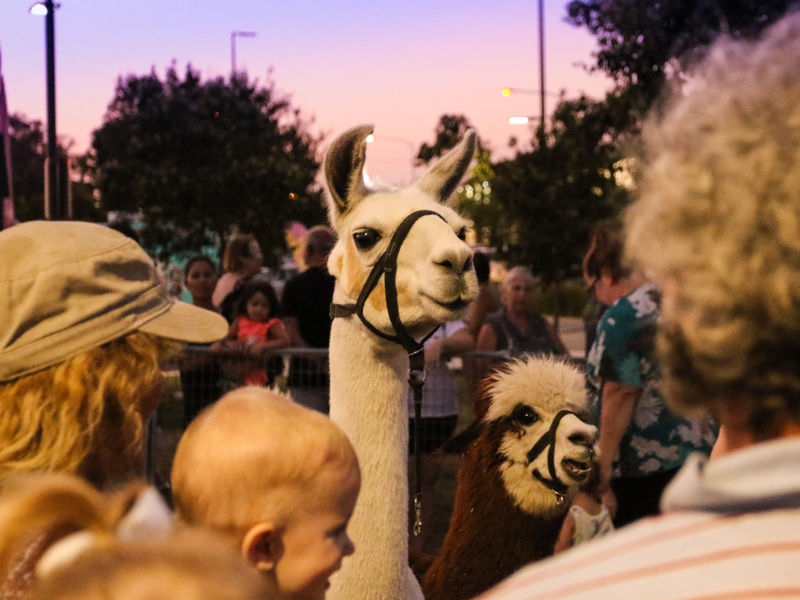 Beenleigh Night Bites Twilight Market image