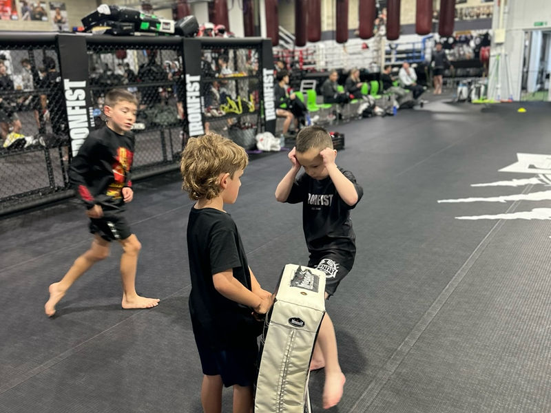 The Ironfist Gym image