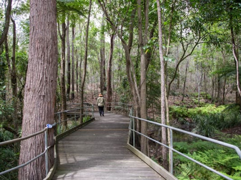 Downfall Creek Reserve image