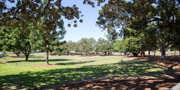 Wallaroo Way Community Park