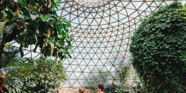 Brisbane Botanic Gardens Mt Coot-tha