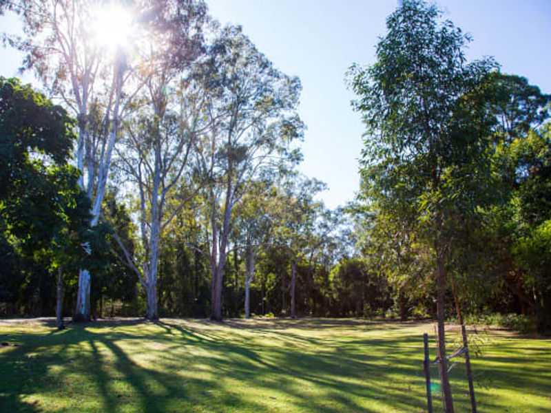 Bulimba Riverside Park image