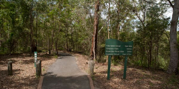 Mt Coot-Tha Reserve
