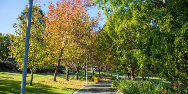 Moora Park