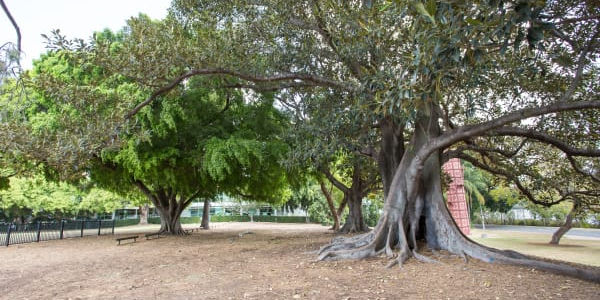 Davies Park