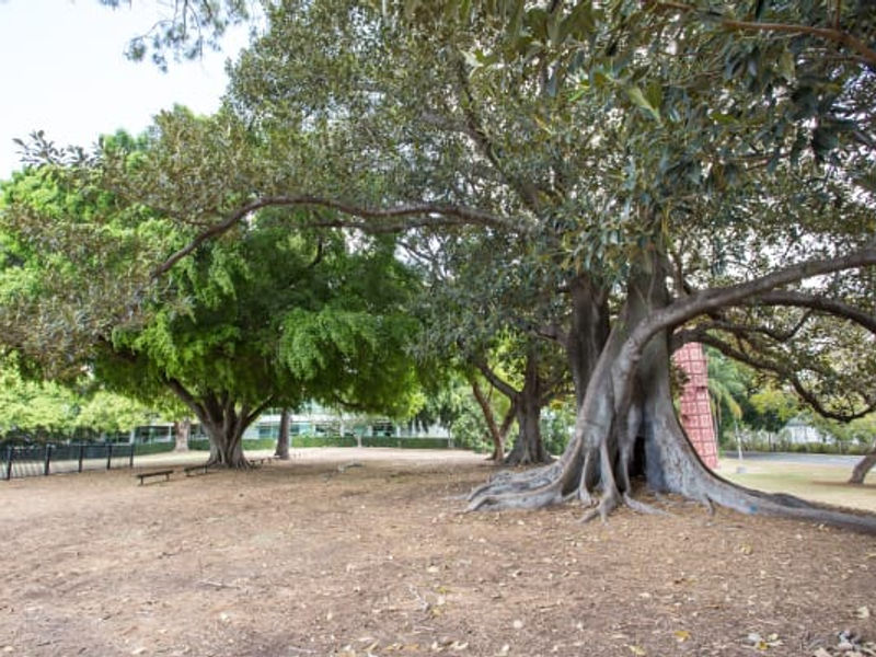Davies Park image