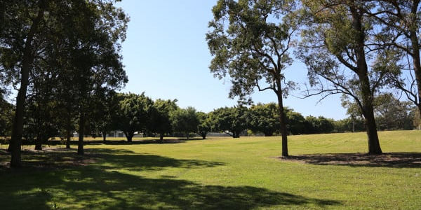 Perkins Street Park (Lot 403)