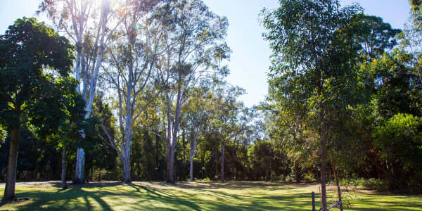 Alfred & Lucina Best Park