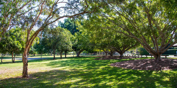 Enoggera Memorial Park
