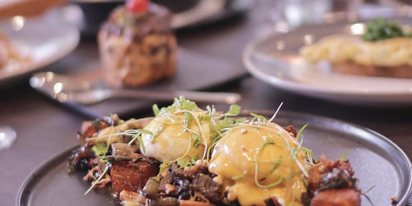 Halo Ground Coffee & Food