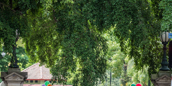 Riverside at the Gardens and Kelvin Grove Markets