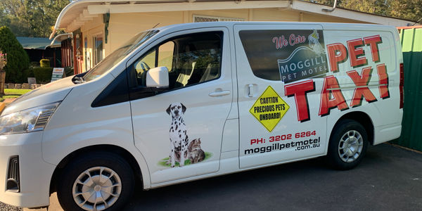 Moggill Pet Motel