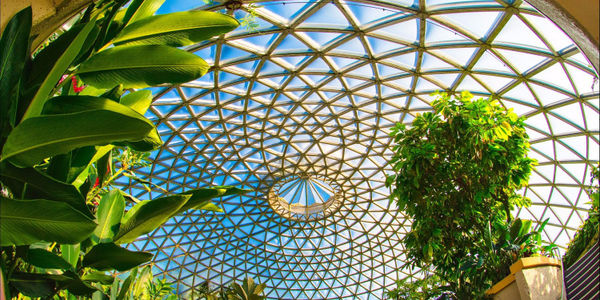 Brisbane Botanic Gardens Mount Coot-tha