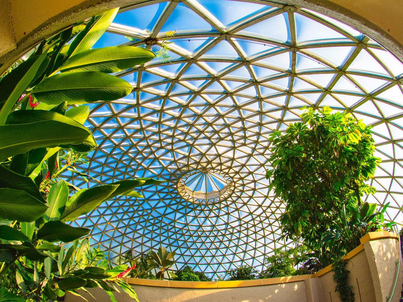 Brisbane Botanic Gardens Mount Coot-tha image